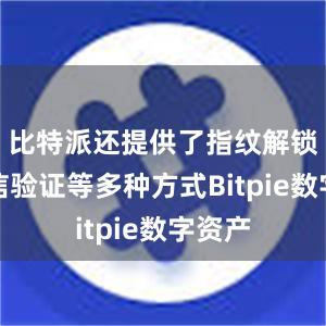 比特派还提供了指纹解锁和短信验证等多种方式Bitpie数字资产