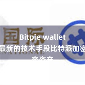 Bitpie wallet通过最新的技术手段比特派加密资产