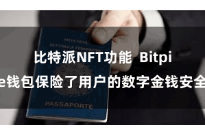 比特派NFT功能 Bitpie钱包保险了用户的数字金钱安全